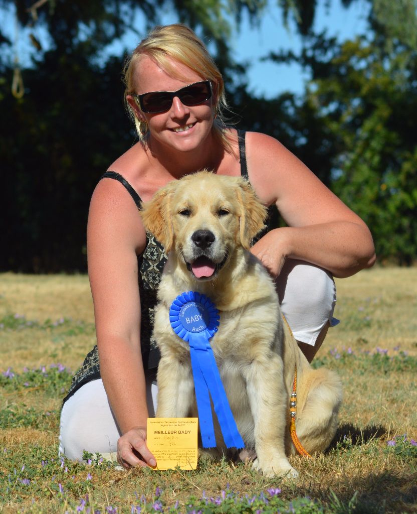 Number one Des Puppys Goldens Love