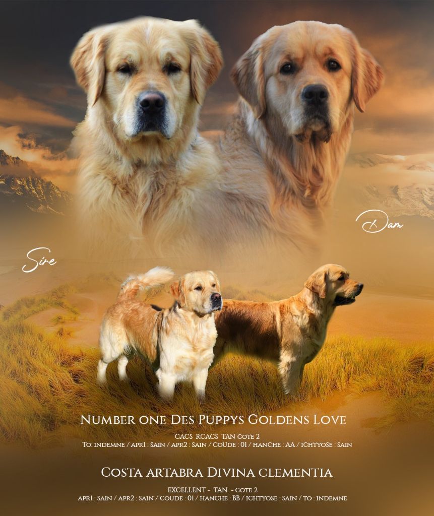 mariage octobre 2025 